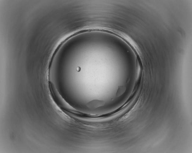 X0000111871388200907231504