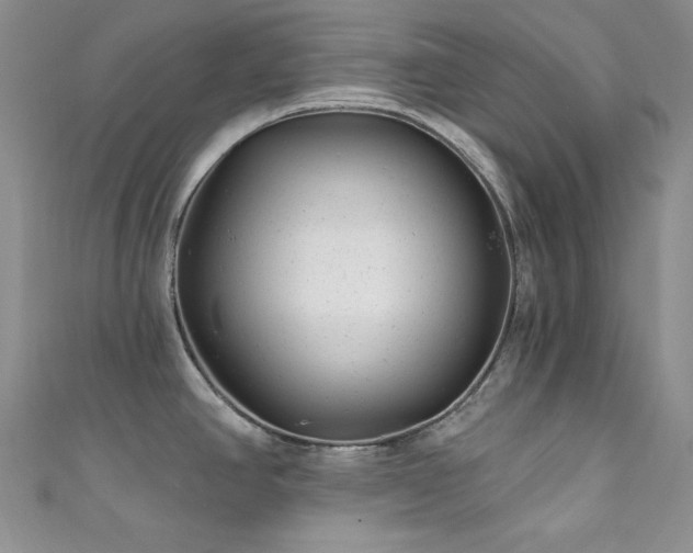 X0000111871390200907231504
