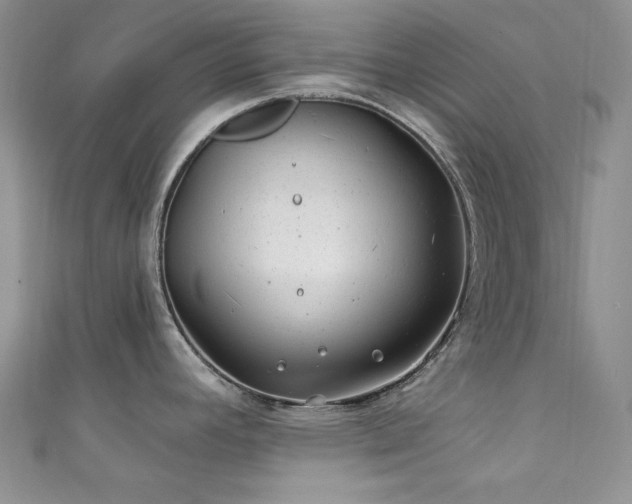 X0000111871392200907231504