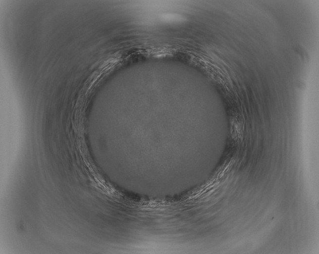 X0000111871393200907231503