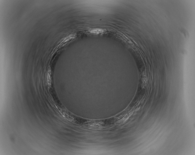 X0000111871394200907231503