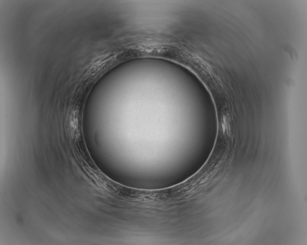 X0000111871396200907231503