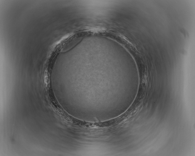 X0000111871398200907231503