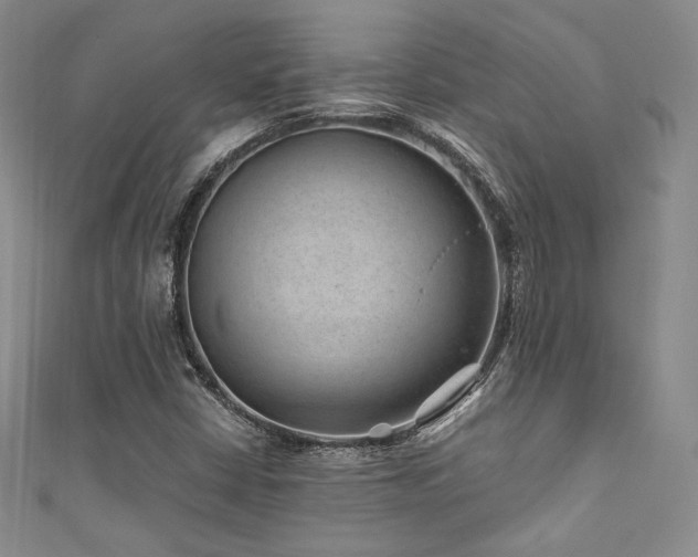 X0000111871402200907231503