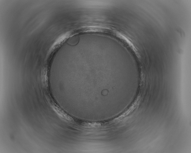 X0000111871403200907231503