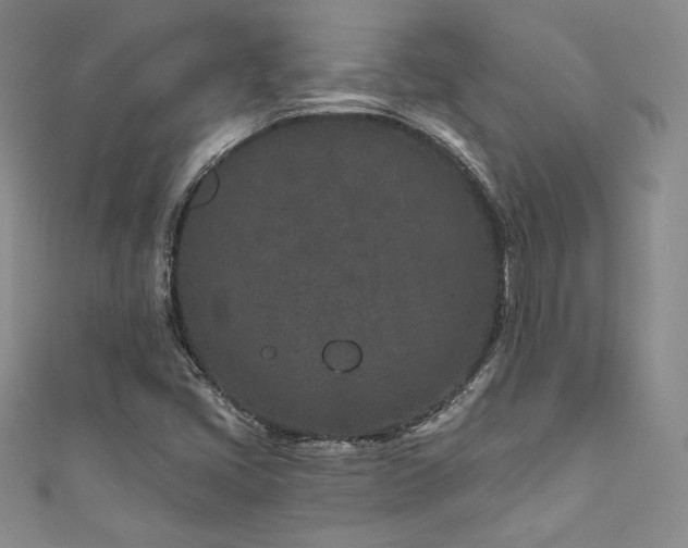 X0000111871405200907231503