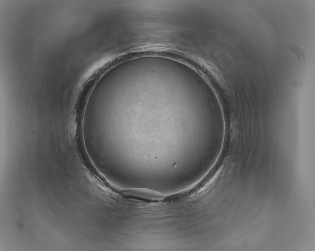 X0000111871406200907231503