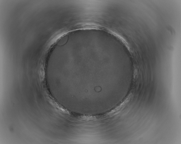 X0000111871407200907231503