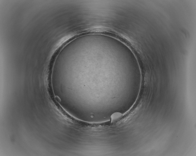 X0000111871410200907231503