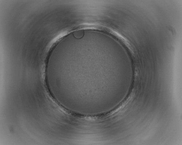 X0000111871411200907231503