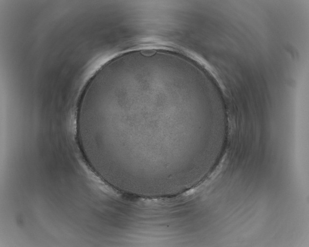 X0000111871415200907231503