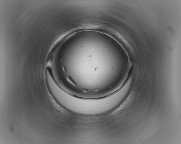 X0000111871417200907231503