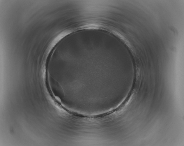 X0000111871418200907231503