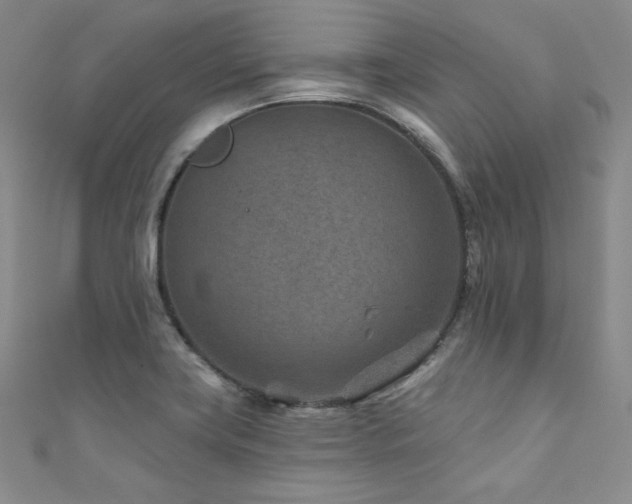 X0000111871419200907231503