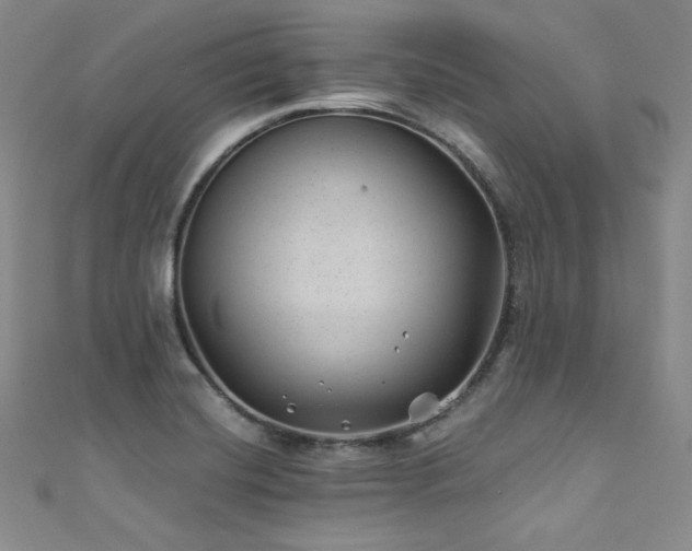 X0000111871420200907231503