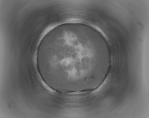 X0000111871421200907231503