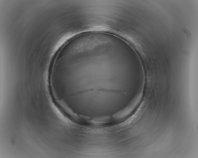 X0000111871422200907231503