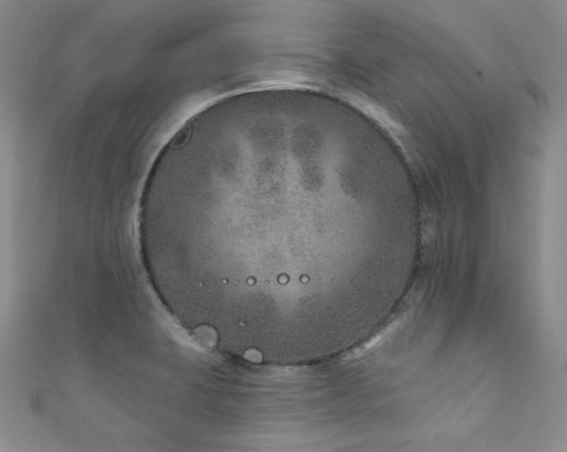 X0000111871423200907231503