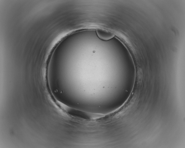 X0000111871424200907231503