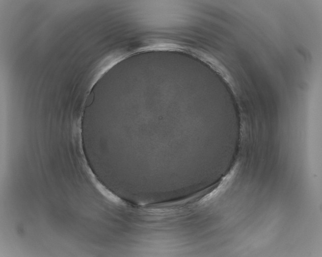 X0000111871425200907231503