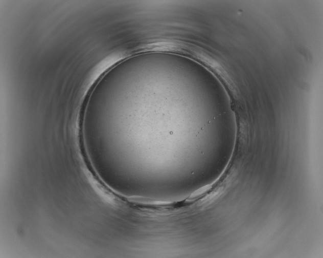 X0000111871426200907231504