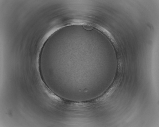 X0000111871427200907231504