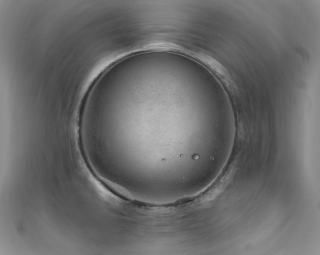 X0000111871430200907231504