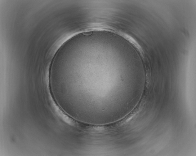 X0000111871431200907231504