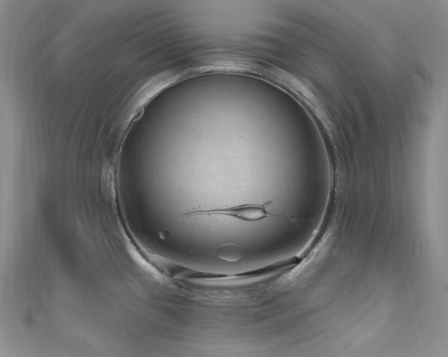 X0000111871433200907231504