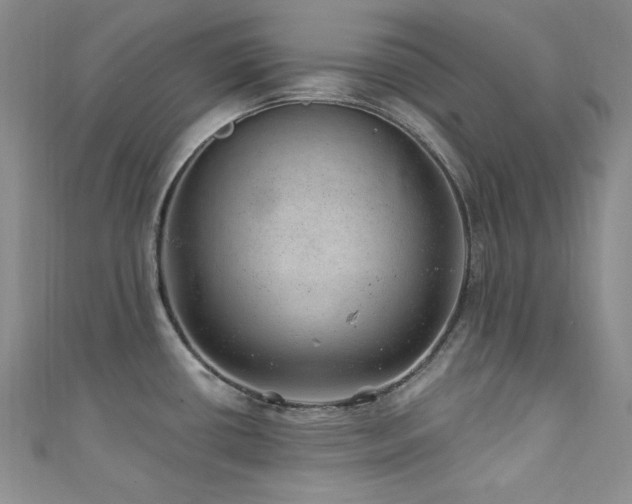 X0000111871434200907231504