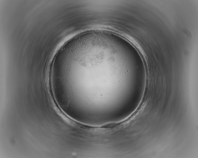 X0000111871437200907231504