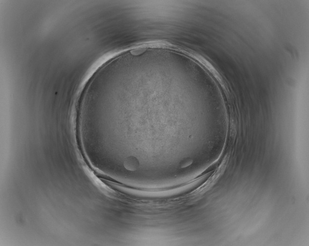 X0000111871438200907231504