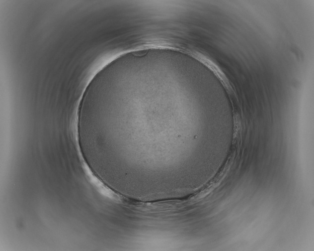 X0000111871439200907231504
