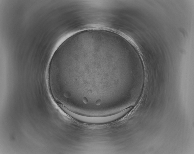 X0000111871440200907231504