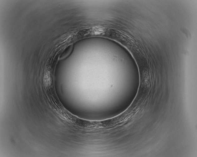 X0000111871442200907231503