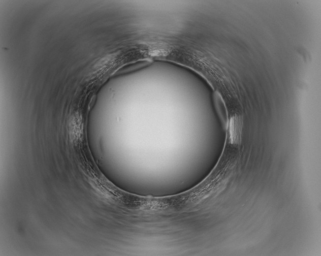 X0000111871443200907231503