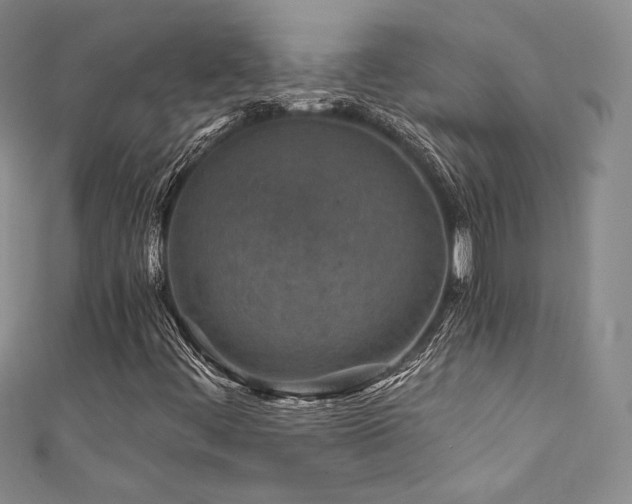 X0000111871444200907231503