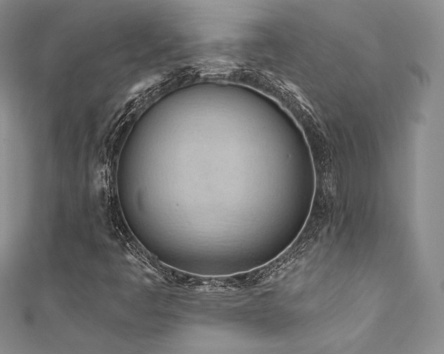 X0000111871445200907231503