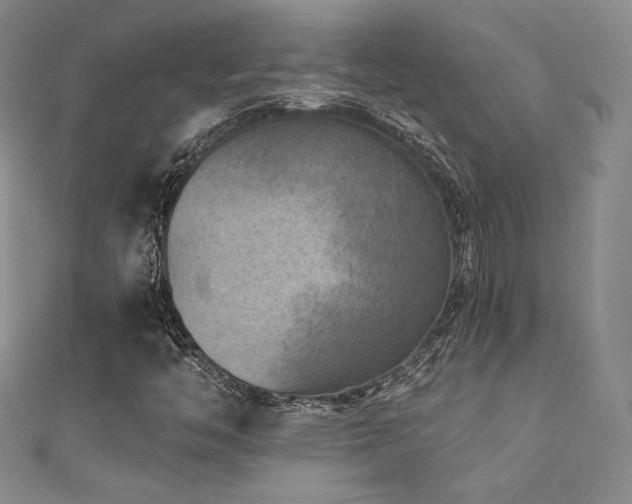 X0000111871446200907231503