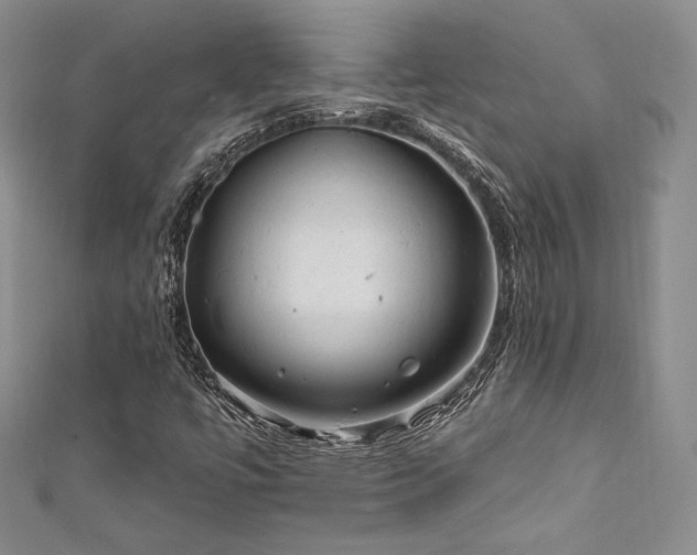 X0000111871447200907231503