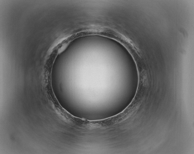 X0000111871448200907231503
