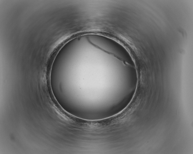 X0000111871452200907231503