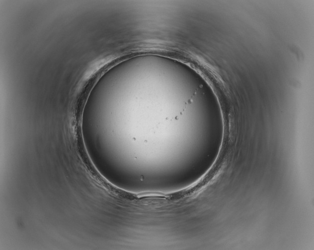 X0000111871453200907231503