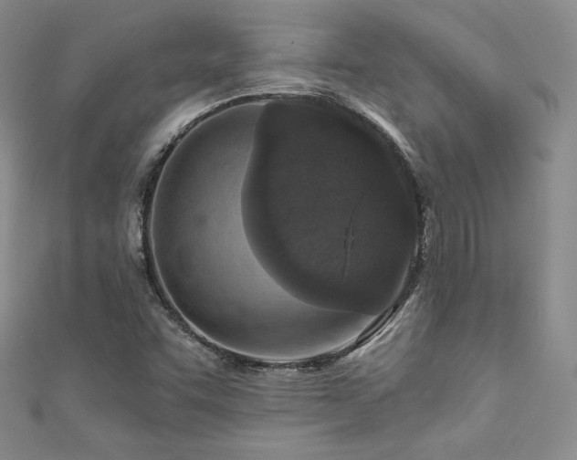 X0000111871455200907231503