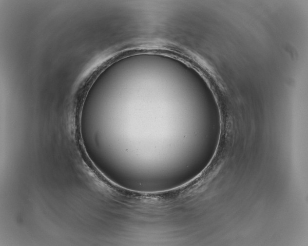 X0000111871456200907231503