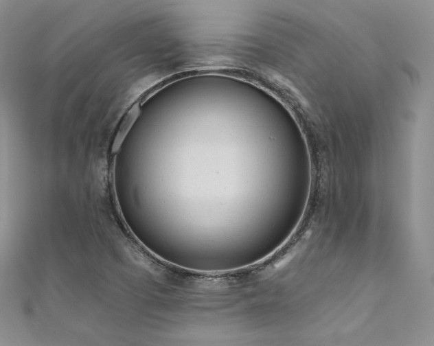 X0000111871457200907231503