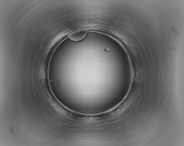 X0000111871458200907231503