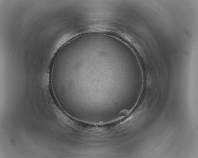 X0000111871459200907231503