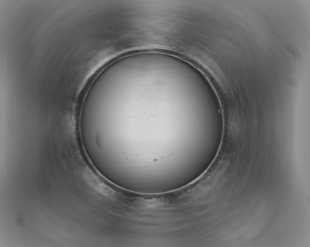 X0000111871460200907231503
