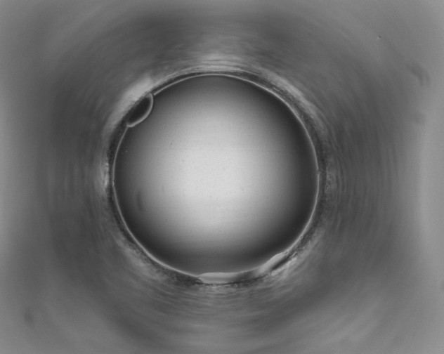 X0000111871461200907231503